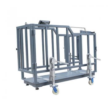 Calf scale